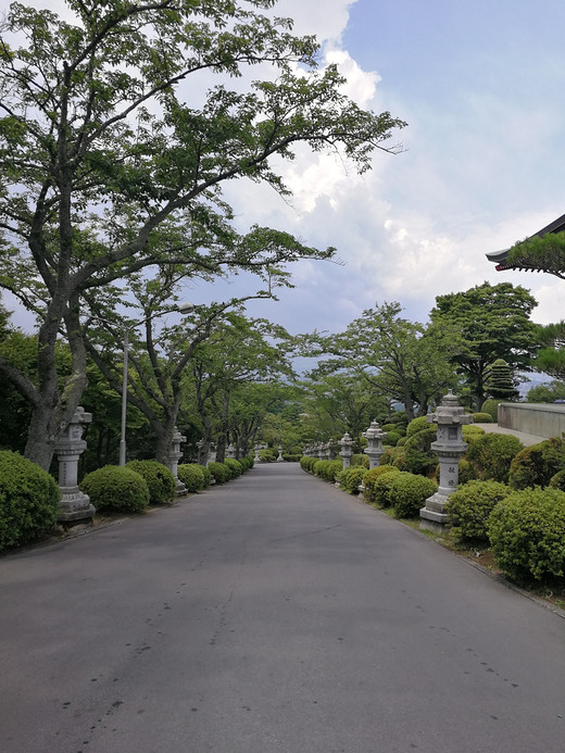 霓虹国之行 Day 4-京都,平安神宫,富士山,日本