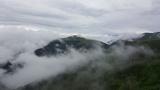 四川甘南行 8.2-香格里拉,稻城