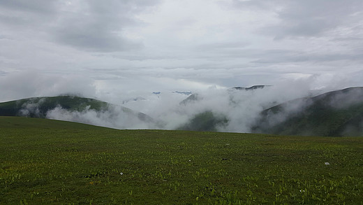 四川甘南行 8.2-香格里拉,稻城