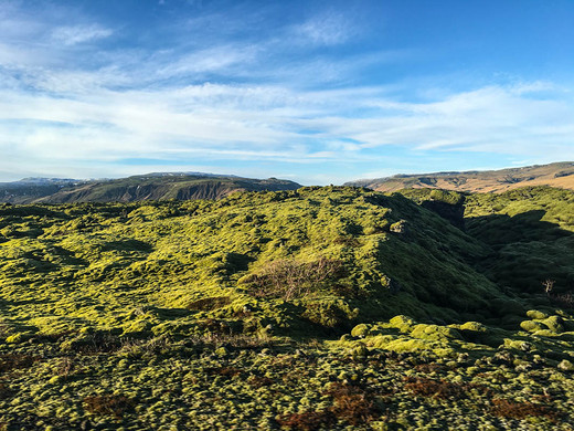 冰岛（下）：天空之境拍写真，火山口遇险，蓝洞提前融化-哈帕音乐厅和会议中心,太阳航海者,雷克雅未克
