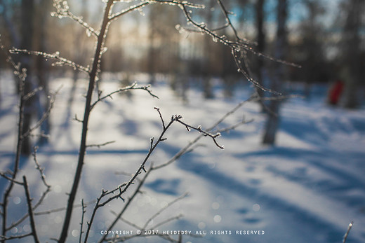 【海蒂手记】与最好的你们，一起去贝加尔湖的冷酷仙境（6）-伊尔库茨克,俄罗斯