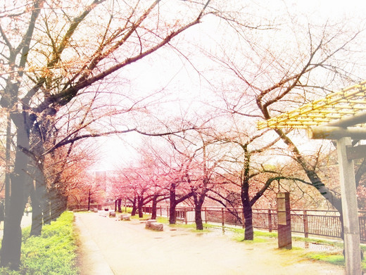 和我的“假情侣”去大阪旅行-道顿堀,天保山大摩天轮,心斋桥,大阪城,大阪城公园