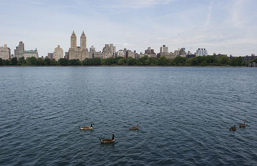 纽约，美丽的顽疾（6）——纽约之肺-中央公园,美国