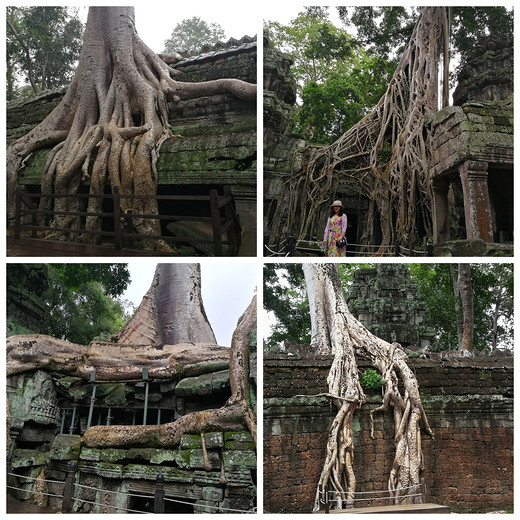 吴哥窟寻美之旅～3-塔布隆寺,圣剑寺,皇家浴池,柬埔寨