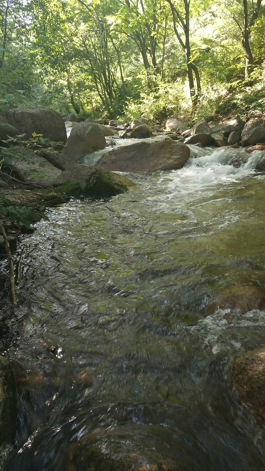 宁城道须沟