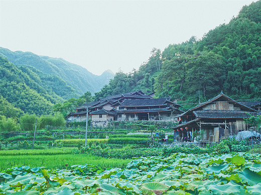 走进畲寨人家，开启泰顺休闲之旅！-温州,浙江