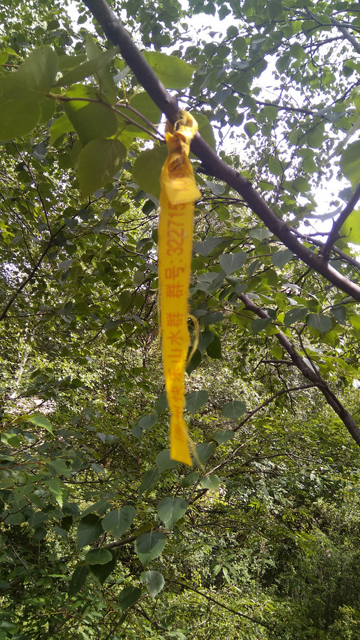 露营好去处