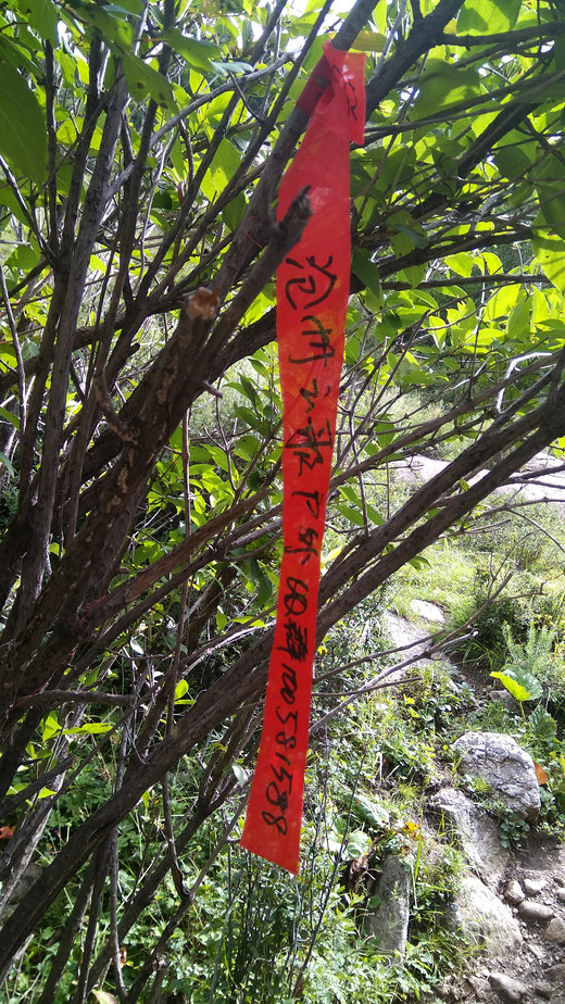 露营好去处