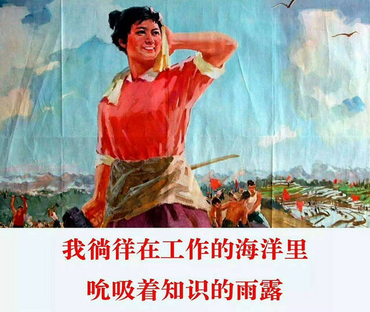 别以为你假期过得欢，谁都没我爽！