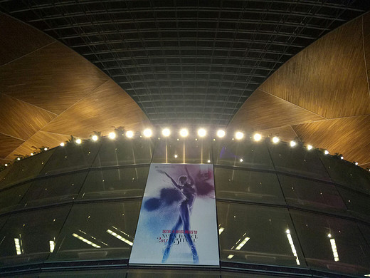 首都博物馆天坛国家大剧院一日游-北京