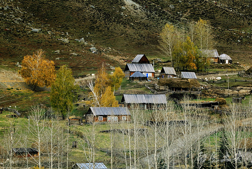 要看“西北第一村”的绝世美景，办边防证-白哈巴村,新疆