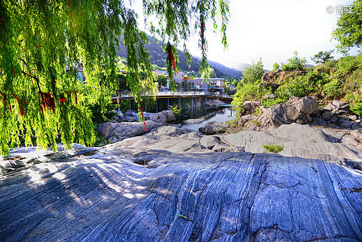 山远近路横斜 “沂蒙山舍”如我家