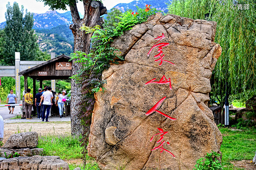 山远近路横斜 “沂蒙山舍”如我家