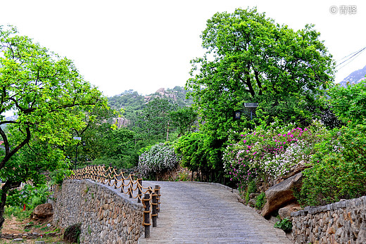 山远近路横斜 “沂蒙山舍”如我家