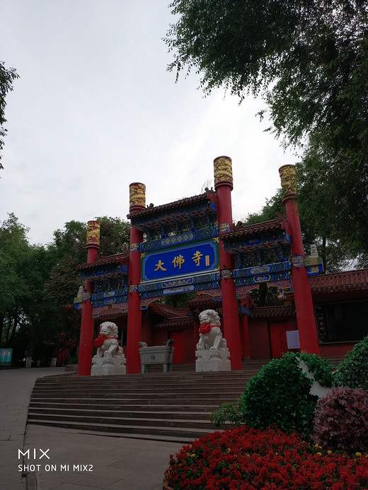 红山公园景区-乌鲁木齐