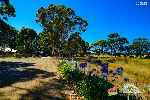 【西澳大利亚】四千公里的南回归线 【十二】-威廉湾国家公园,托蒂拉普国家公园,奥尔巴尼