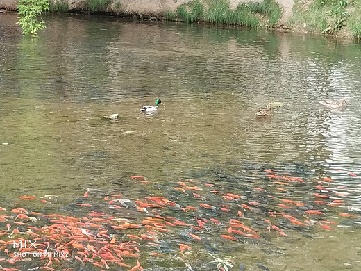 水磨沟风景区