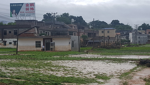 20190616灾区偶思