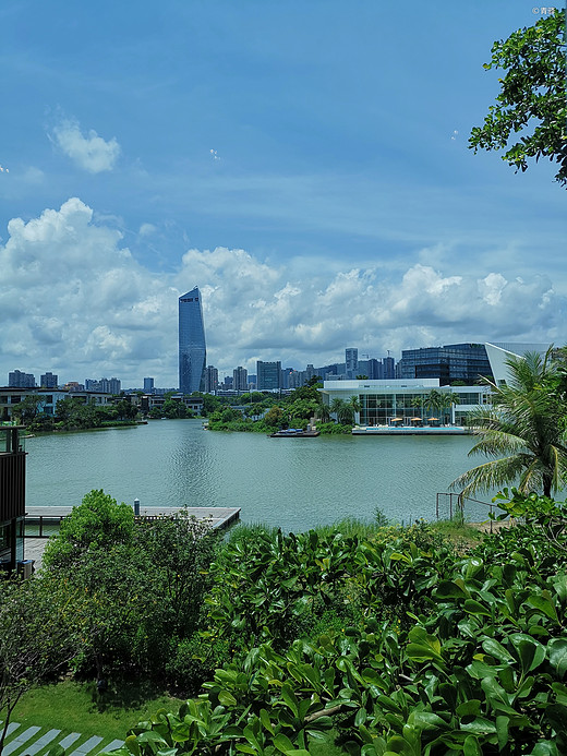 深圳，抱歉我误会你了-深圳湾公园,深圳大学