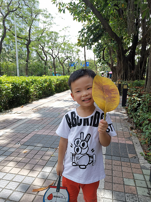 深圳，抱歉我误会你了-深圳湾公园,深圳大学