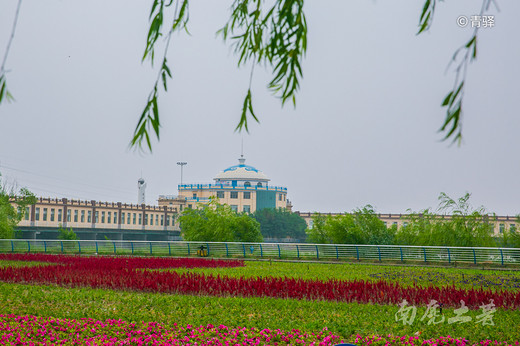 把毕业前考的驾照拿出来，72小时带你玩转大漠、草原和湿地-内蒙古