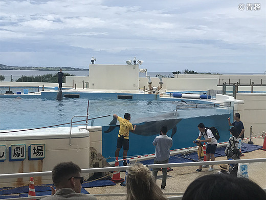 冲绳之旅 Trip to Okinawa-那霸,琉球村,万座毛