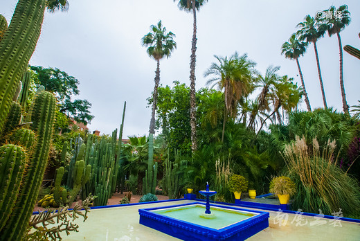 大师走了，留下一个美翻世界的伊夫圣罗兰花园-马拉喀什,摩洛哥