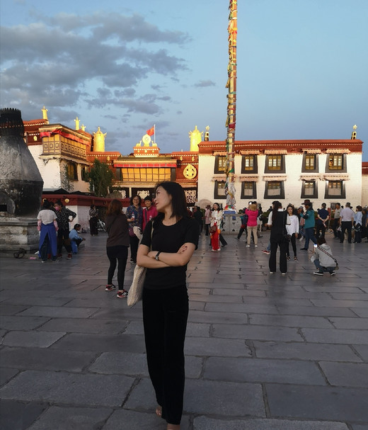 美妙的西藏探寻之旅，我终于来了。。。-布达拉宫,大昭寺,拉萨