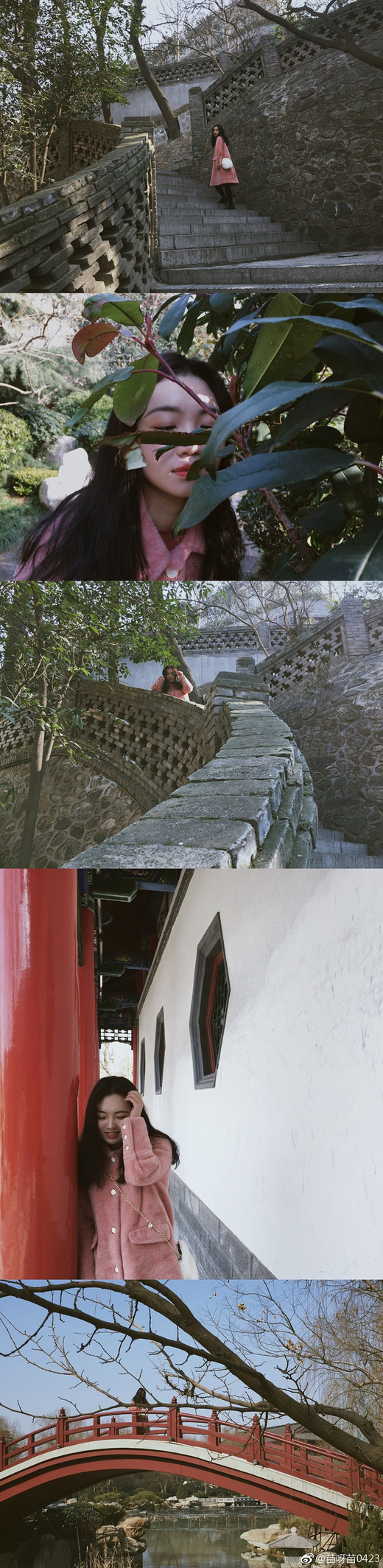 在西安，过了一个年味满满的中国年-西安古城墙,回民街,大雁塔,陕西历史博物馆