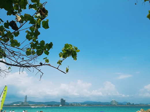 海的歌儿，沙滩的贝壳会听到的-天涯海角,三亚