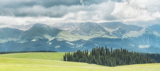 伊犁日记｜夏季梦旅人，我们在天山3000km的自由里（1）