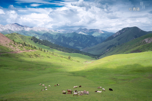 伊犁日记｜夏季梦旅人，我们在天山3000km的自由里（1）