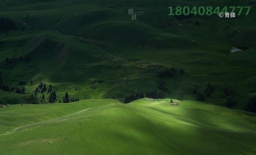 伊犁日记｜夏季梦旅人，我们在天山3000km的自由里（1）