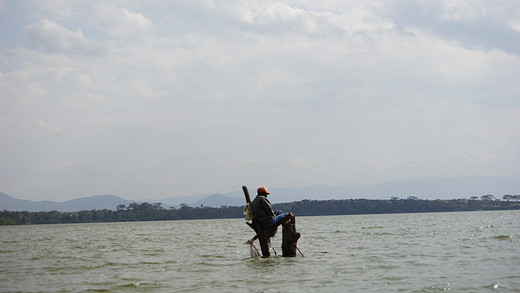 肯尼亚十二天（二）-纳瓦沙湖,东非大裂谷