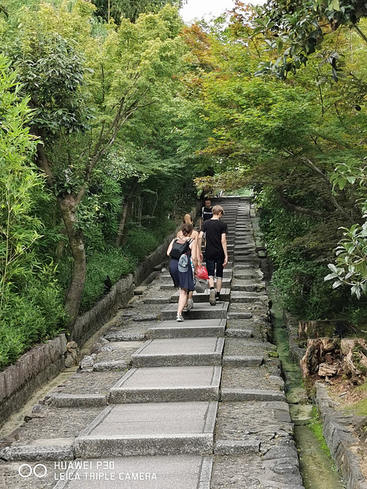 七天日本关西行（二）-鸭川,花见小路,八坂神社,清水寺,京都
