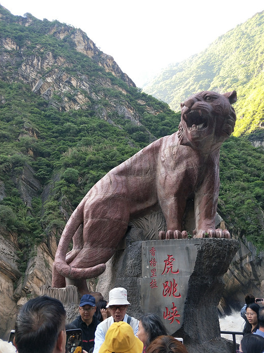 彩云之南☁云南八日游(五)-独克宗古城,梅里雪山,香格里拉,普达措,虎跳峡