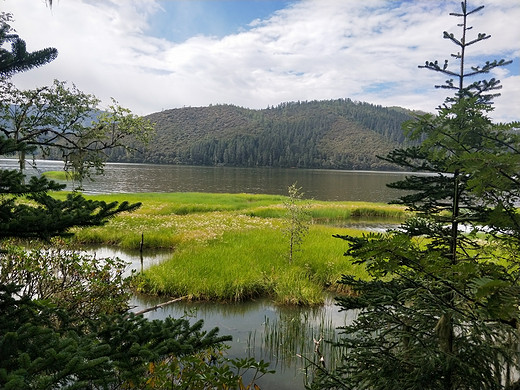 彩云之南☁云南八日游(五)-独克宗古城,梅里雪山,香格里拉,普达措,虎跳峡