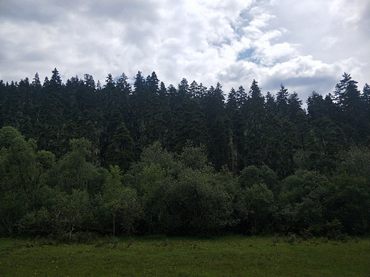 彩云之南☁云南八日游(五)-独克宗古城,梅里雪山,香格里拉,普达措,虎跳峡