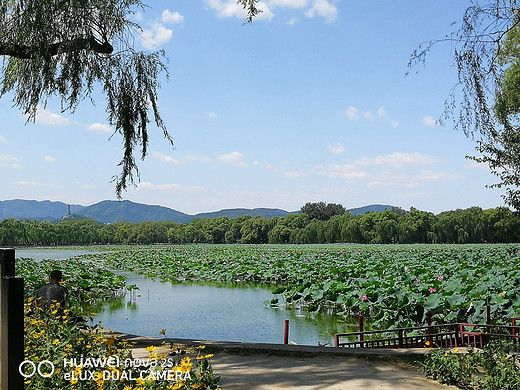 2019北京之行 ——山水田园间-颐和园,圆明园