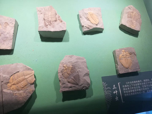 情迷大西北
