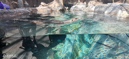 骑行前往丹佛水族馆(Downtown aquarium)-美国