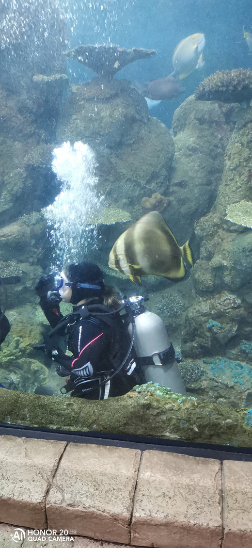 骑行前往丹佛水族馆(Downtown aquarium)-美国