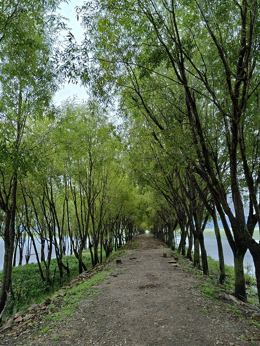 佛系的丽江之旅-束河,拉市海
