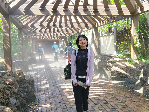 懵懵的日本之行-上野动物园,上野公园,东京塔,浅草寺,西山