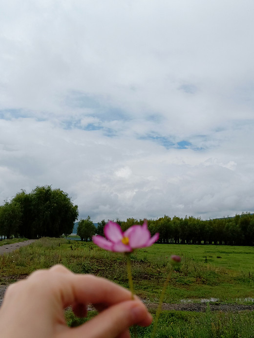 佛系的丽江之旅-束河,拉市海