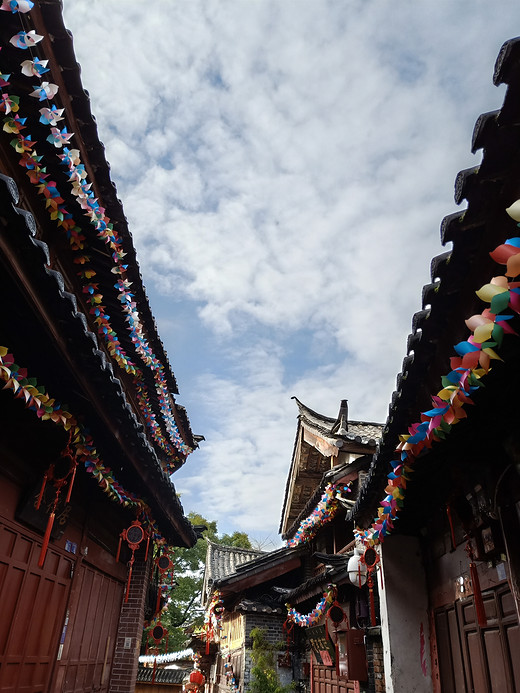 佛系的丽江之旅-束河,拉市海