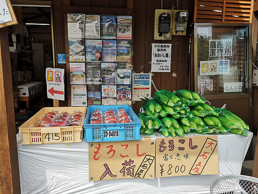 日本亲子游-迪士尼乐园-东京,心斋桥,大阪城公园,大阪城,大阪