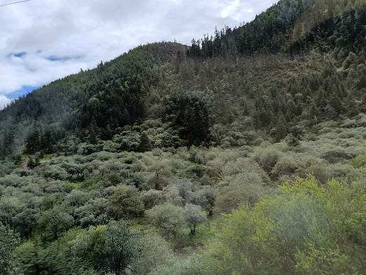 丽江——香格里拉-洱海,梅里雪山,普达措