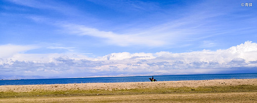 青海无波秋雁下，草生碛里见牛羊——青海甘肃环线游记-塔尔寺,青海湖,茶卡盐湖,敦煌,鸣沙山