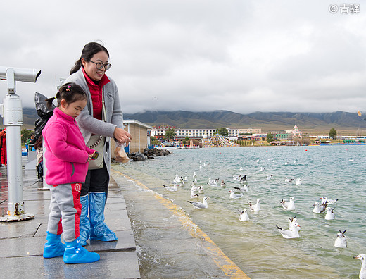 青海无波秋雁下，草生碛里见牛羊——青海甘肃环线游记-塔尔寺,青海湖,茶卡盐湖,敦煌,鸣沙山